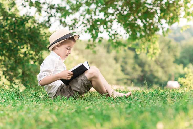 child reading a book in the meadow